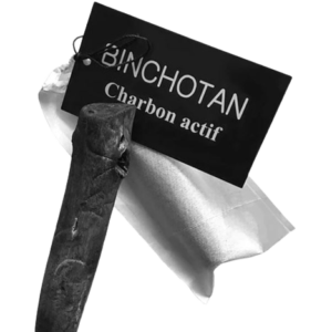 charbon Binchotan bio